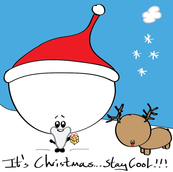 Santa Bonce it's Christmas stay cool in colour
