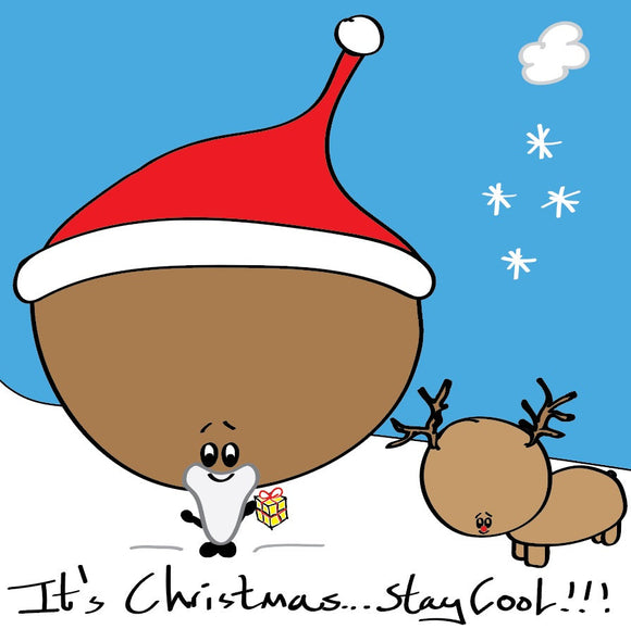 Santa Bonce it's Christmas stay cool in colour